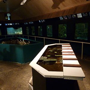 Aquarium Interior - Only About 35 Tanks In Total