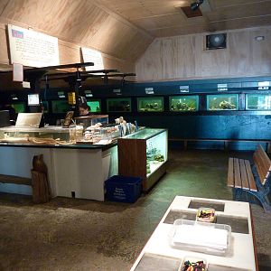 Aquarium Interior - Only About 35 Tanks In Total