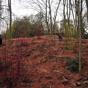 Australia! - The new themeworld at Hannover