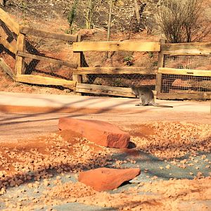 Australia! - The new themeworld at Hannover