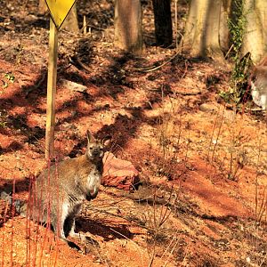 Australia! - The new themeworld at Hannover