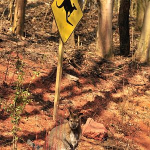 Australia! - The new themeworld at Hannover