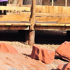 Australia! - The new themeworld at Hannover