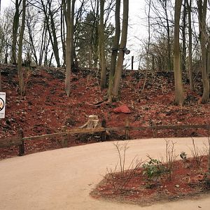 Australia! - The new themeworld at Hannover