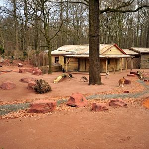 Australia! - The new themeworld at Hannover