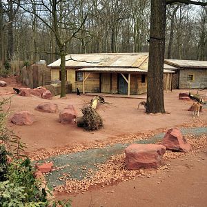 Australia! - The new themeworld at Hannover