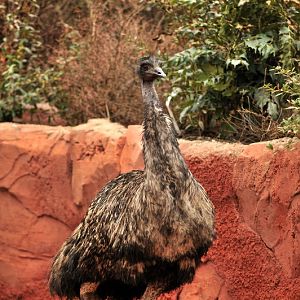 Australia! - The new themeworld at Hannover