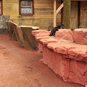 Australia! - The new themeworld at Hannover