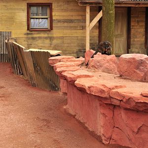 Australia! - The new themeworld at Hannover