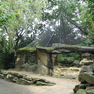 Predator & Prey immersion exhibit photos