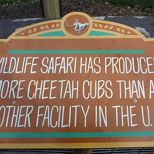 Cheetah Exhibit - Sign