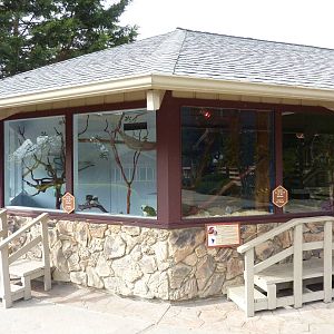 Cotton Top Tamarin/Coendou Exhibits