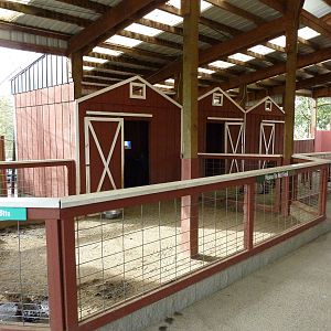 Petting Farm
