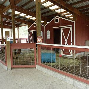 Petting Farm