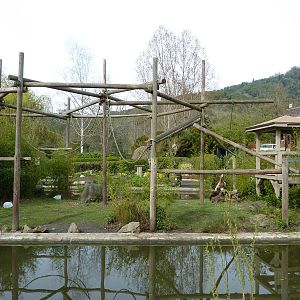 White-Handed Gibbon Exhibit