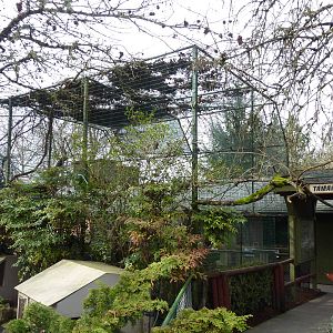 Indian Crested Porcupine/Red Billed Hornbill Exhibit