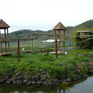 Ring-Tail/Red Ruffed Lemur Exhibit