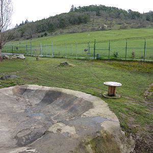 Maned Wolf/Capybara Exhibit