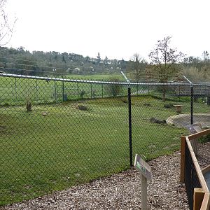 Maned Wolf/Capybara Exhibit