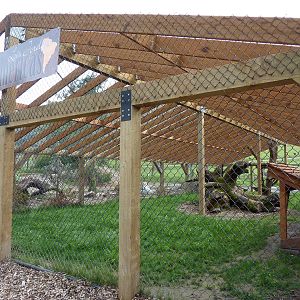 Mountain Lion Exhibit