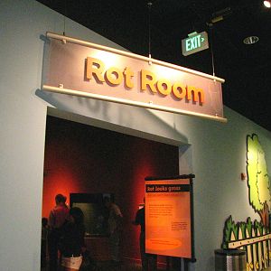 Rot Room