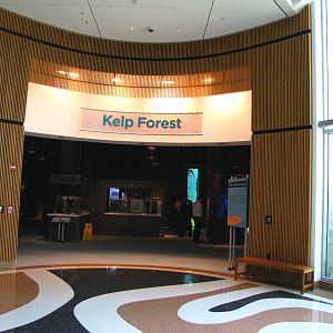 Kelp Forest Entrance