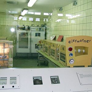 Hatchery Room, RivieraHal