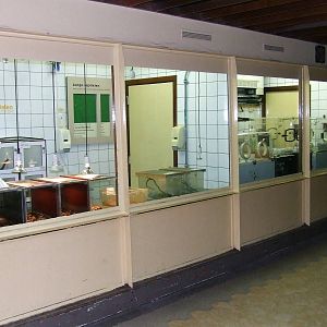 Reptiles, Nursery, RivieraHal