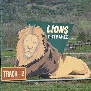 Lion Enclosure - Entrance