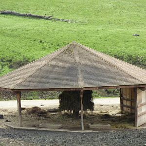 African Area - Feeding Shelter
