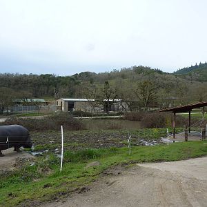 African Area - Hippo Enclosure