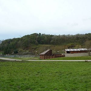 African Area -Giraffe Barn