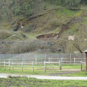 African Area - Separate Giraffe Enclosure