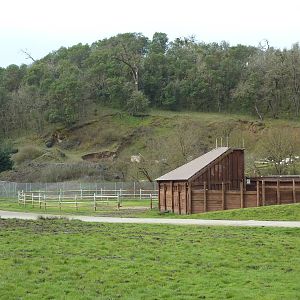 African Area -Giraffe Barn