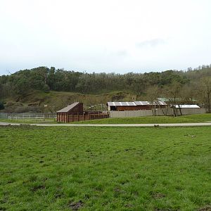 African Area -Giraffe Barn