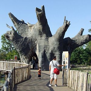 Baobab photos, Savanna