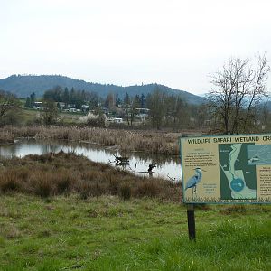 The Americas Area - Wetland