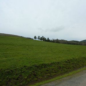 The Americas Area - Bison/Elk Enclosure