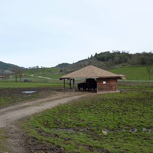 The Americas Area - Bison/Elk Feeding Shelter