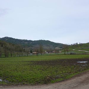 The Americas Area - Bison/Elk Enclosure