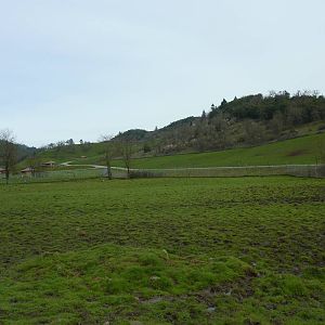 The Americas Area - Bison/Elk Enclosure