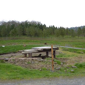 Grizzly Bear Enclosures