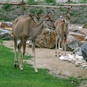 Greater Kudus