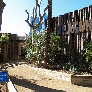 Terra de Dragons - Zoo Barcelona