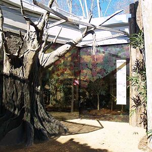 Terra de Dragons - Zoo Barcelona