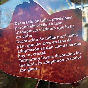 Terra de Dragons - Zoo Barcelona