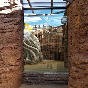 Terra de Dragons - Zoo Barcelona