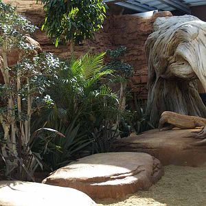 Terra de Dragons - Zoo Barcelona