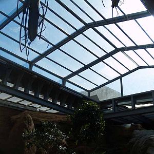 Terra de Dragons - Zoo Barcelona