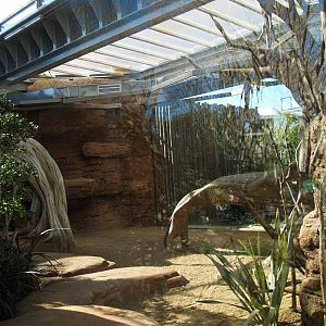 Terra de Dragons - Zoo Barcelona